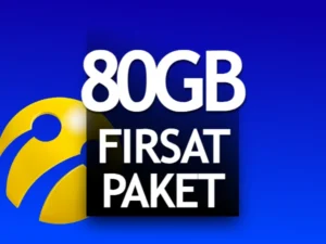 Fırsat 80 GB