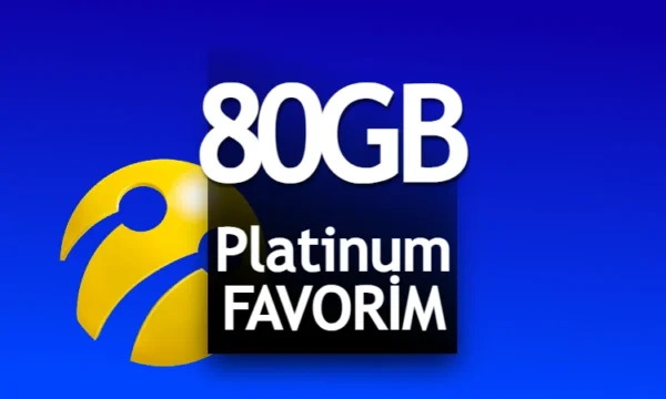 Platinum Favorim 80 GB